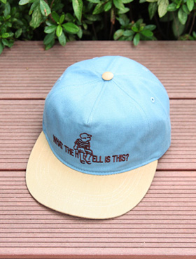this washing snapback ; sk [ 3color / free size ] 디스 워싱 스냅백