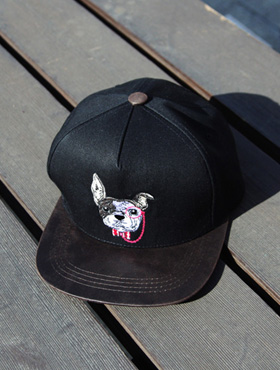 puppy coloring snapback [ 1color / free size ] 강아지 배색 스냅백